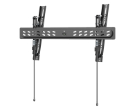 Gembird Uchwyt ścienny do telewizora seria PRO regulowany 43-95inch - 1584123 - zdjęcie 2